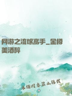 网游之流氓高手