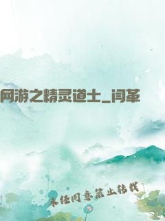 网游之精灵道士