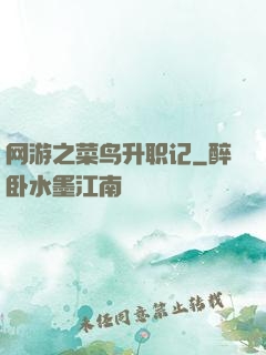 网游之菜鸟升职记