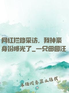 网红拦路采访，我神豪身份曝光了