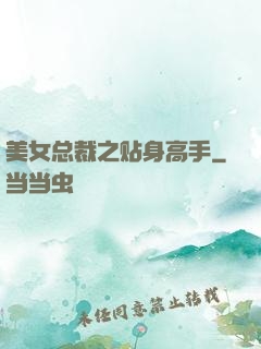 美女总裁之贴身高手