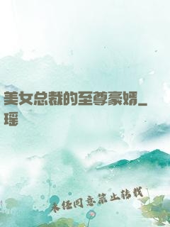 美女总裁的至尊豪婿