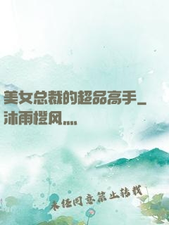 美女总裁的超品高手