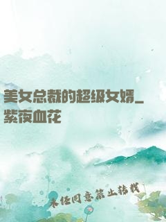美女总裁的超级女婿