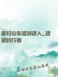 美妇公车湿润进入