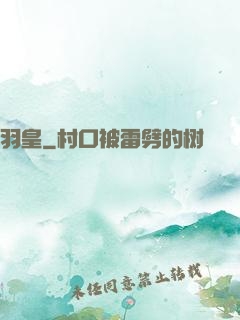 羽皇