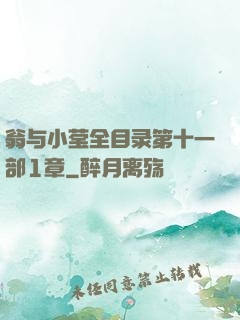 翁与小莹全目录第十一部1章
