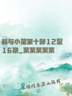 翁与小莹第十部12至16章
