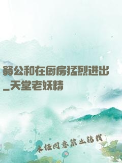 翁公和在厨房猛烈进出