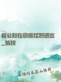 翁公和在厨房猛烈进出