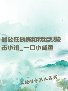 翁公在厨房和我猛烈撞击小说