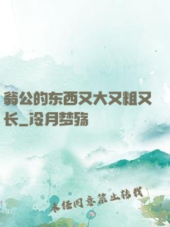 翁公的东西又大又粗又长