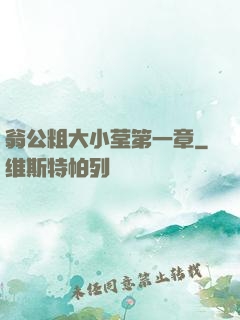 翁公粗大小莹第一章