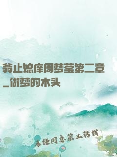翁止媳庠周梦莹第二章