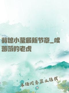 翁熄小莹最新节章