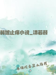 翁熄止痒小说