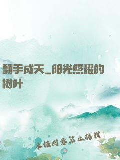 翻手成天