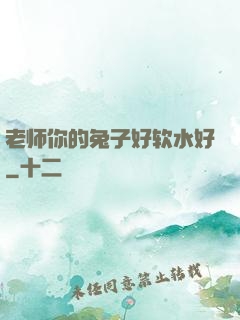 老师你的兔子好软水好