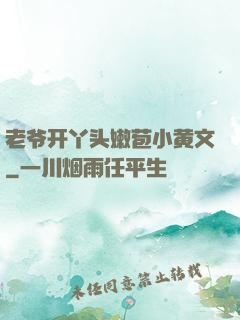 老爷开丫头嫩苞小黄文