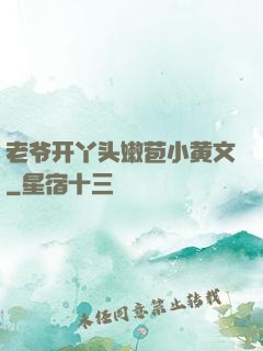 老爷开丫头嫩苞小黄文