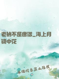 老衲不是唐僧