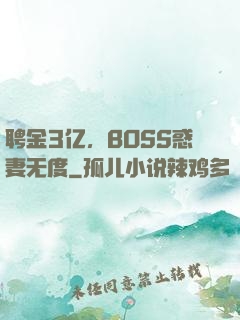 聘金3亿，BOSS惑妻无度