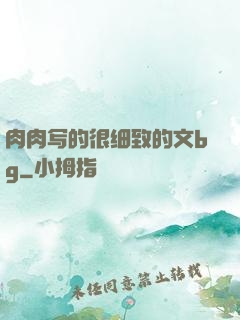 肉肉写的很细致的文bg