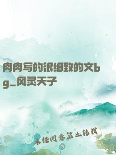 肉肉写的很细致的文bg