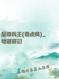 至尊兵王(零点风)