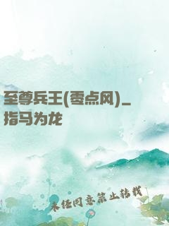 至尊兵王(零点风)
