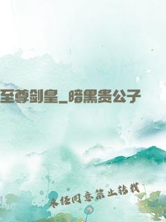 至尊剑皇
