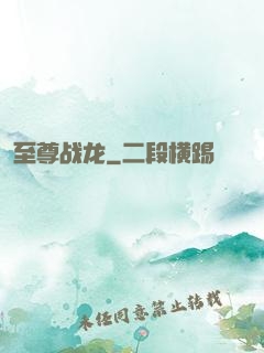 至尊战龙