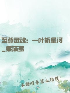 至尊武魂：一叶斩星河