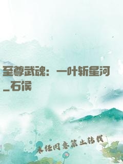 至尊武魂：一叶斩星河