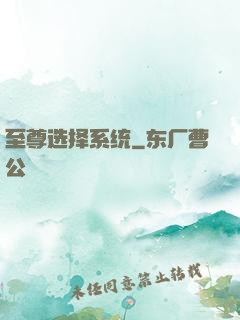 至尊选择系统