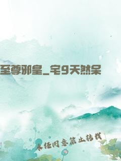 至尊邪皇