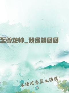 至尊龙帅