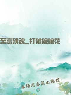 至高残魂