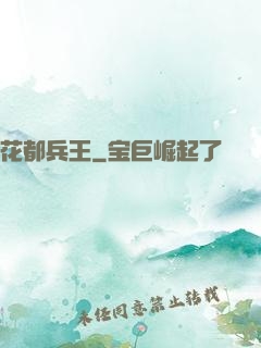 花都兵王