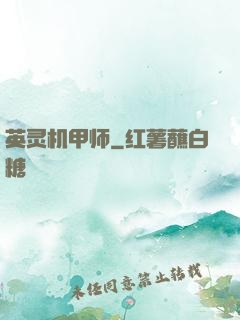 英灵机甲师