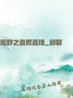 荒野之直男直播