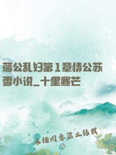荡公乱妇第1章情公苏雪小说