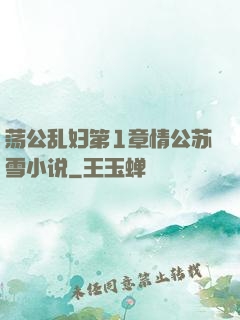 荡公乱妇第1章情公苏雪小说