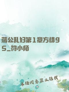 荡公乱妇第1章方情95