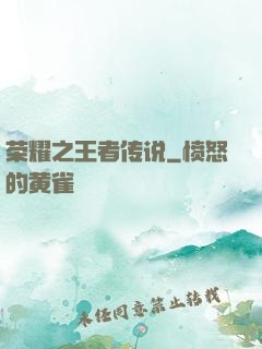 荣耀之王者传说
