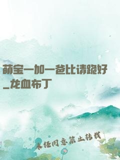 萌宝一加一爸比请跪好