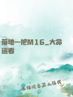落地一把M16