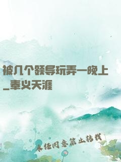 被几个领导玩弄一晚上