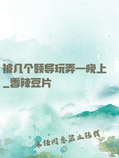 被几个领导玩弄一晚上