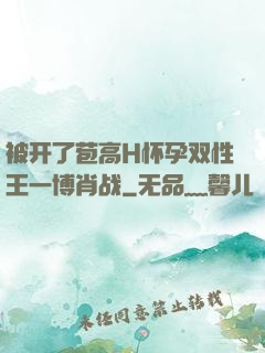 被开了苞高H怀孕双性王一博肖战